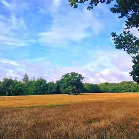 Nyaraló Self Catering - Gardeners Wexford