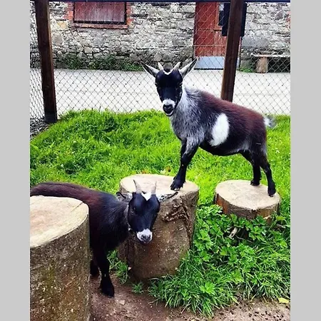 Self Catering - Gardeners