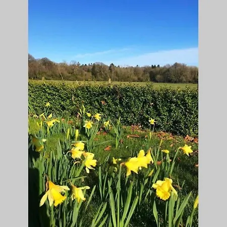 Self Catering - Gardeners *