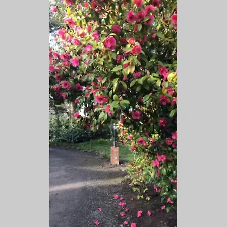 Nyaraló Self Catering - Gardeners *