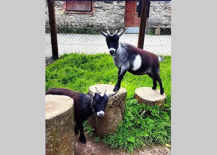 Self Catering - Gardeners