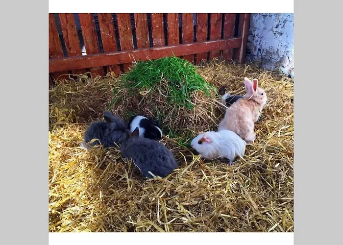 Дом отдыха Self Catering - Gardeners Уэксфорд