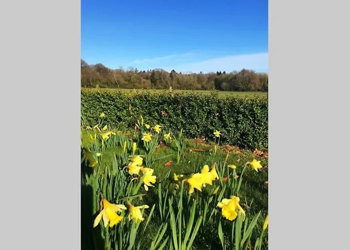 Self Catering - Gardeners *