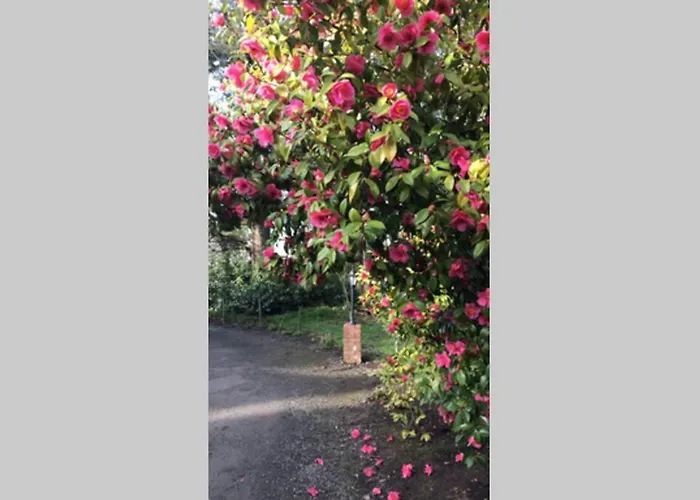 Дом отдыха Self Catering - Gardeners *